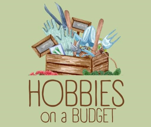 Hobbies on a Budget