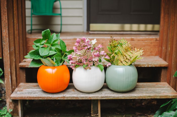 Planter - Candy Bucket