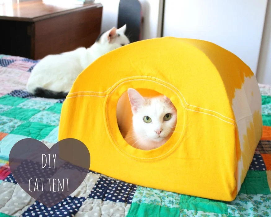 Cat Tent - T Shirt