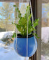 Planter - Basketball