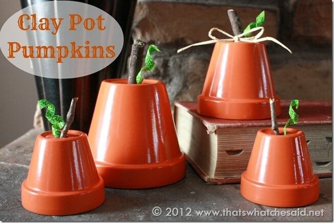 Pumpkin - Pot