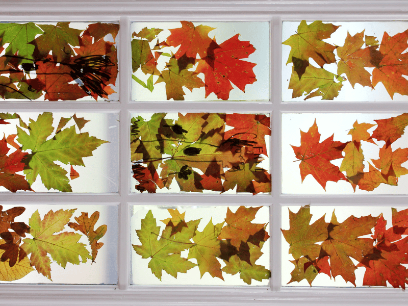 Stained Glass Window - Leaf