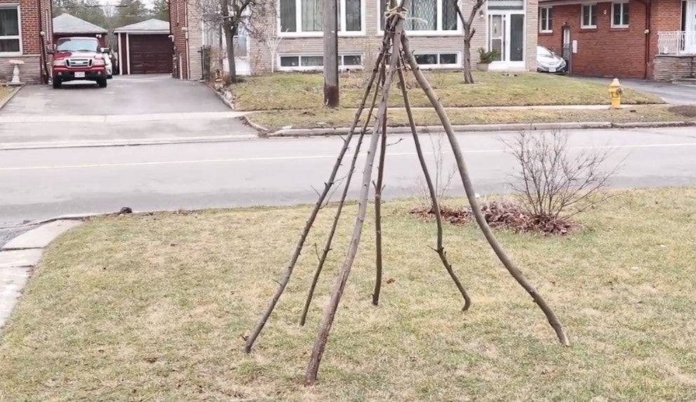 Teepee - Branch (Twig)