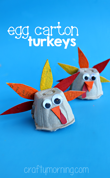 Turkey - Egg Carton